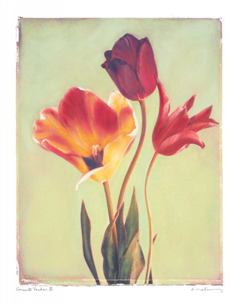 Wall Art Painting id:5436, Name: Concerto Verde II, Artist: Melious, Amy