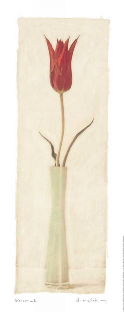 Wall Art Painting id:5437, Name: Blossom I, Artist: Melious, Amy