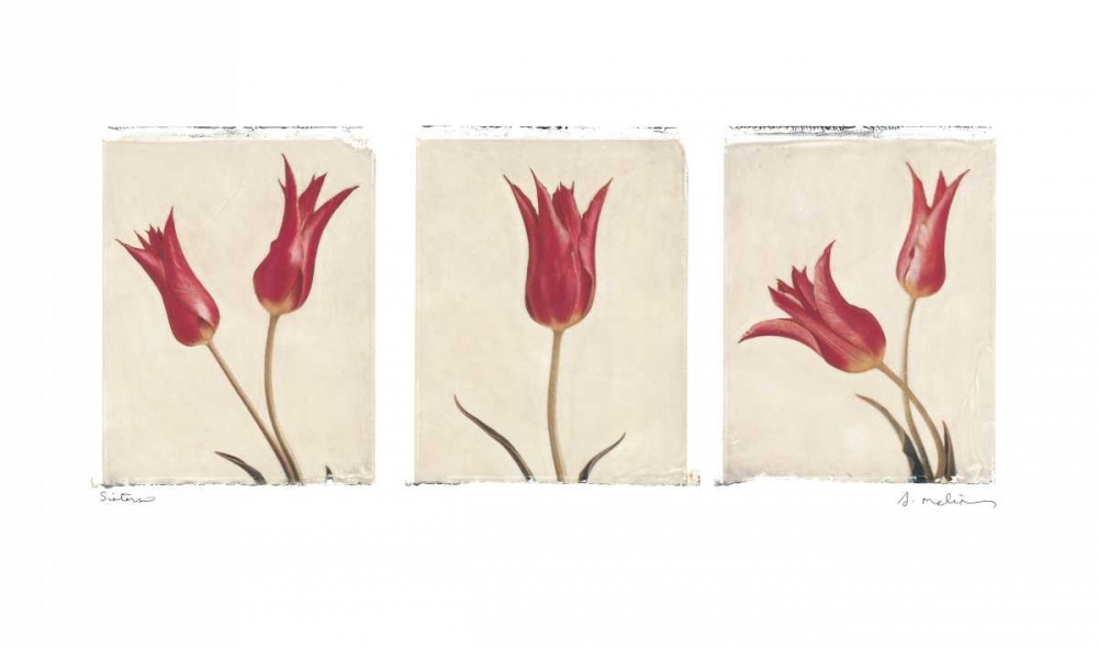 Wall Art Painting id:5439, Name: Sisters, Artist: Melious, Amy