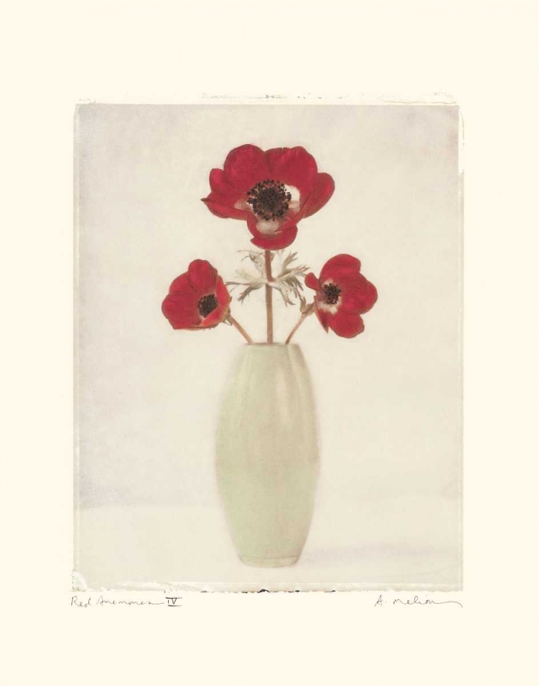 Wall Art Painting id:5443, Name: Red Anemones IV, Artist: Melious, Amy