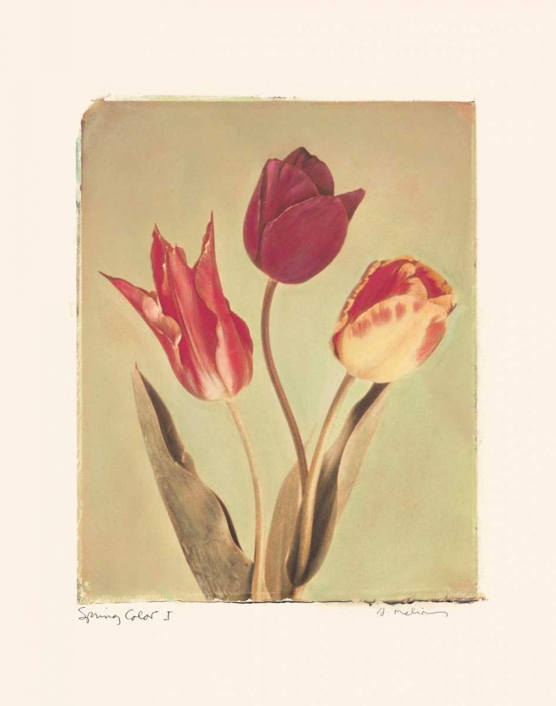 Wall Art Painting id:5444, Name: Spring Color I, Artist: Melious, Amy