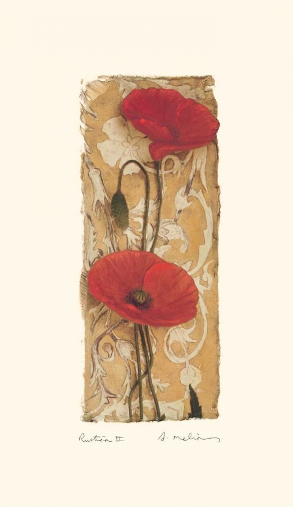 Wall Art Painting id:5453, Name: Rustica II, Artist: Melious, Amy