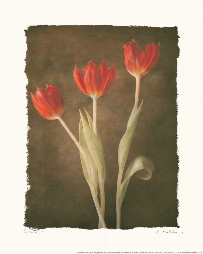 Wall art: Sonata I, by Melious, Amy