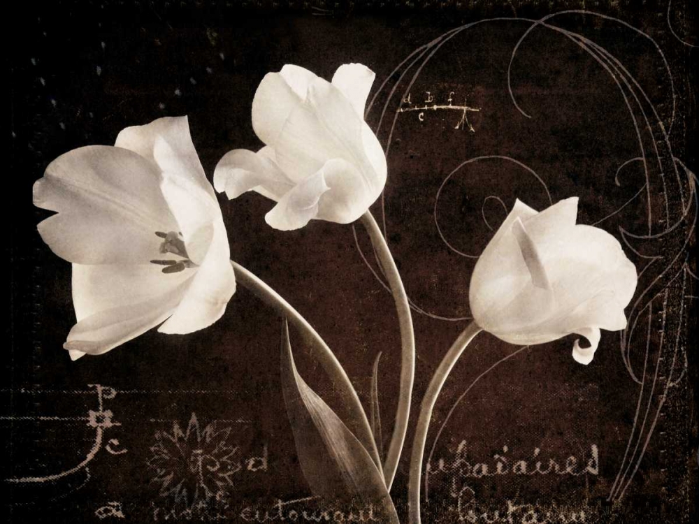 Wall art: Garden Love Letter II, by Melious, Amy