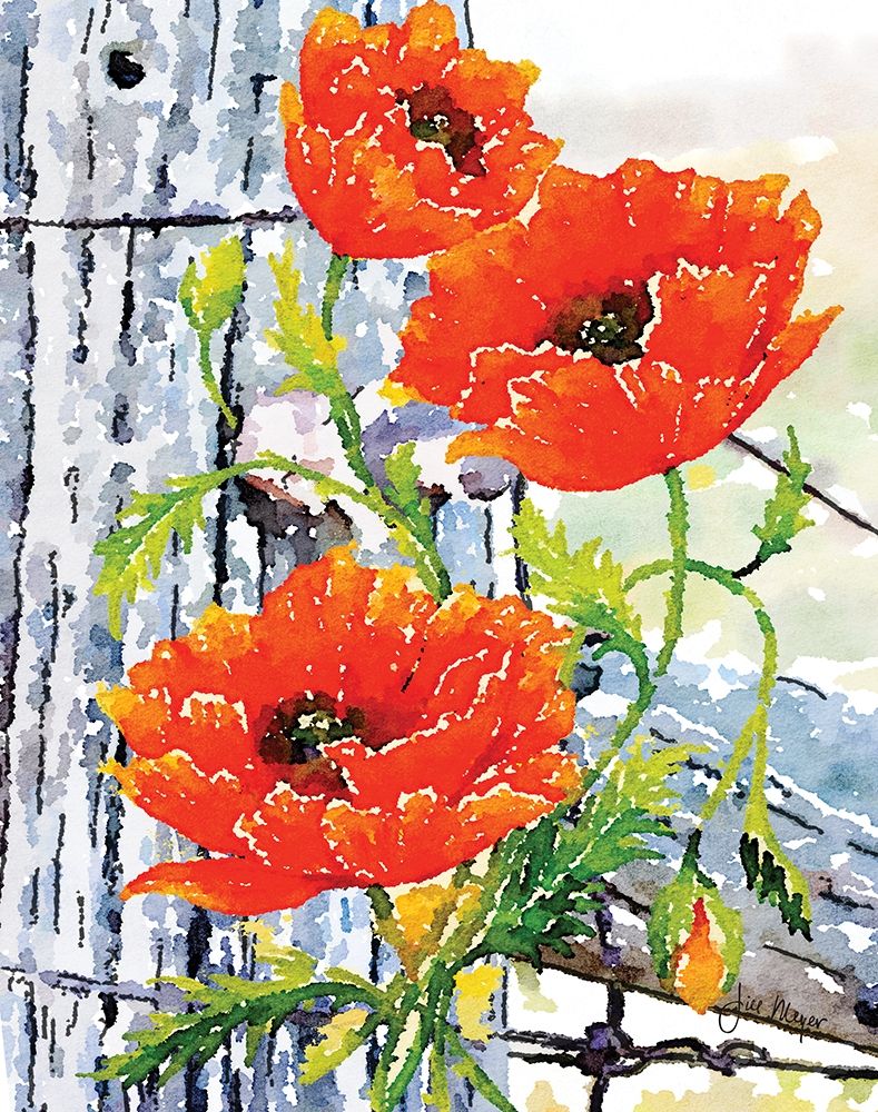 Wall Art Painting id:219682, Name: Fenced In II, Artist: Meyer, Jill