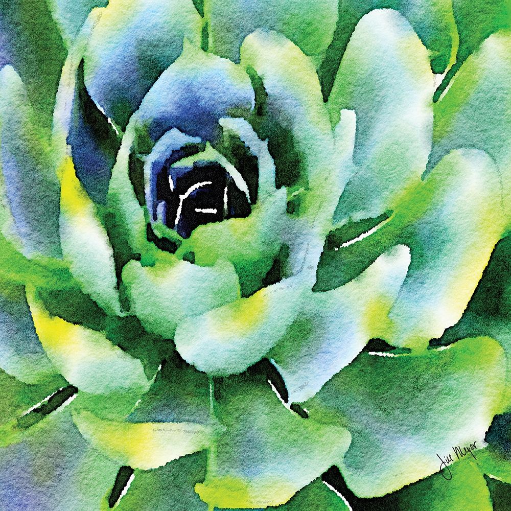 Wall Art Painting id:219687, Name: Opulent Succulents I, Artist: Meyer, Jill