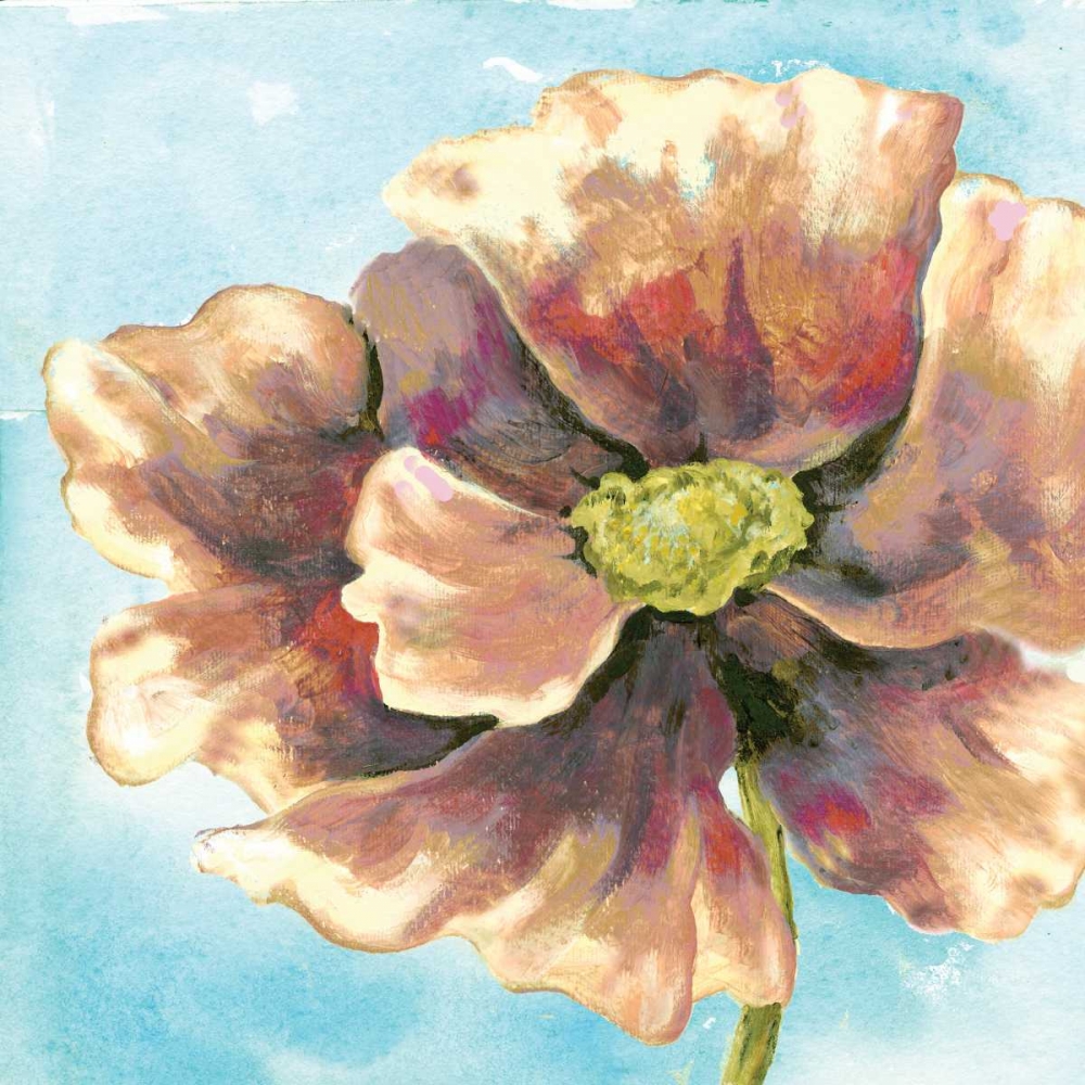 Wall Art Painting id:63692, Name: Fresh Poppies II, Artist: Ferry, Margaret