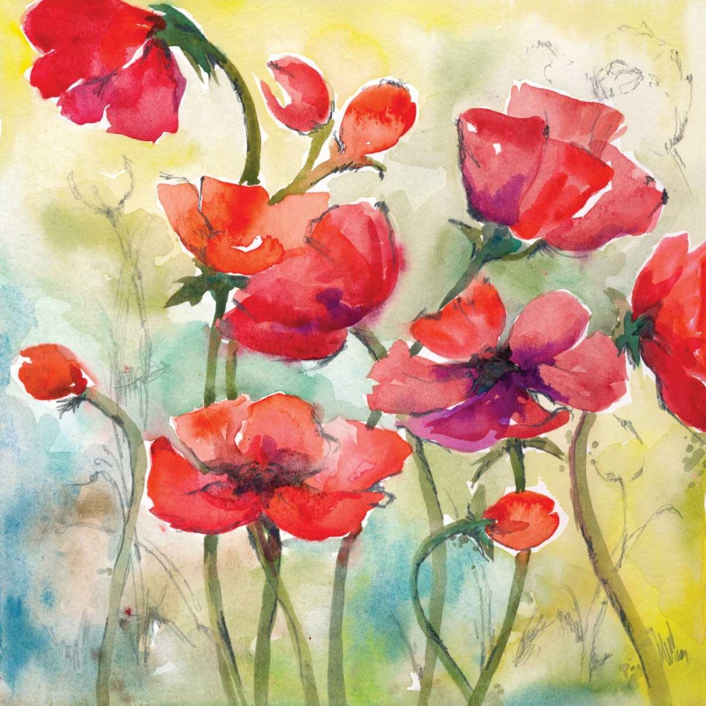 Art Print: Poppy Study I