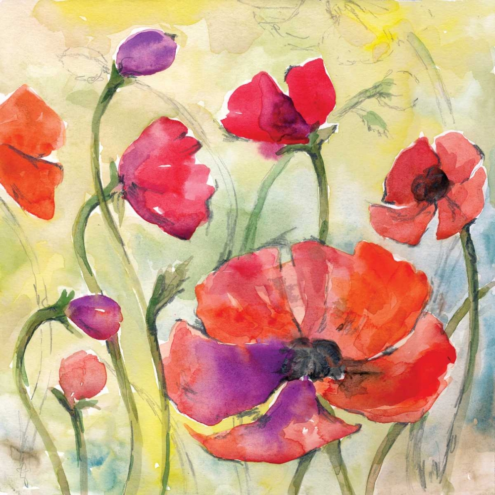 Art Print: Poppy Study II