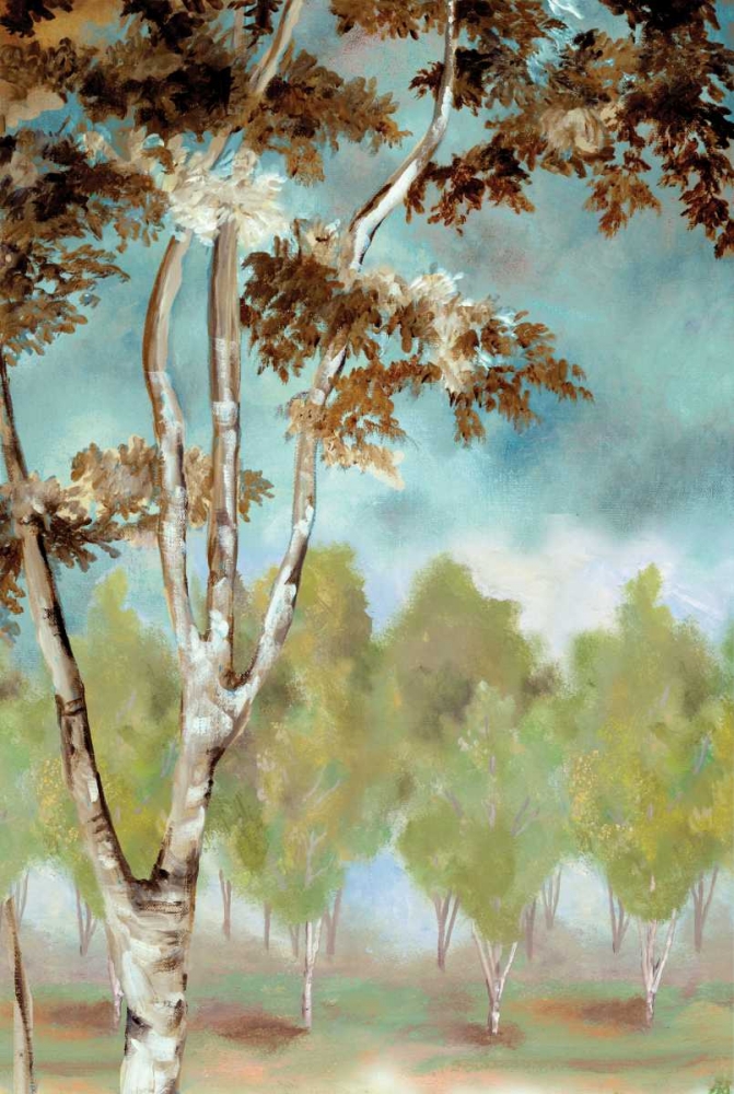Wall art: Birch Forest I, by Ferry, Margaret