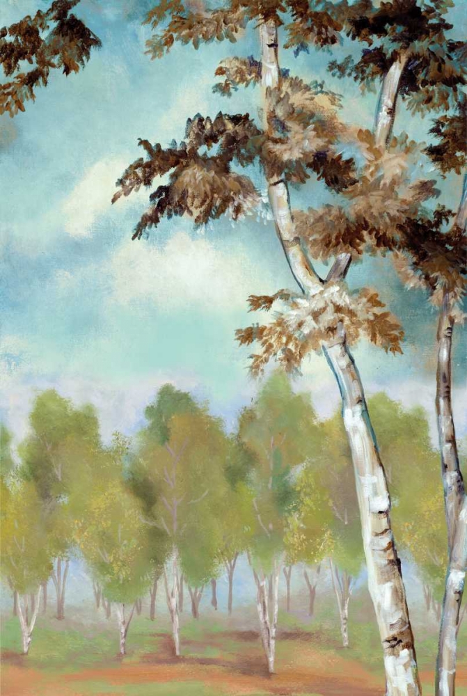 Wall art: Birch Forest II, by Ferry, Margaret