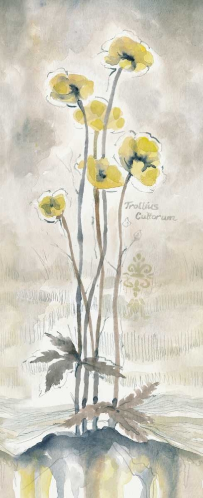 Wall Art Painting id:144947, Name: Yellow Blossoms I, Artist: Ferry, Margaret