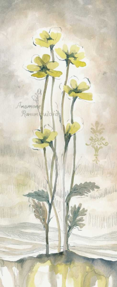 Wall Art Painting id:144948, Name: Yellow Blossoms II, Artist: Ferry, Margaret