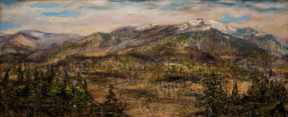 Wall Art Painting id:163989, Name: Bitterroot Valley II, Artist: Monahan, Jodi