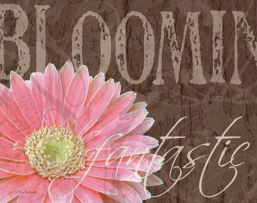 Wall Art Painting id:14106, Name: Gerbera I, Artist: Murray, Sylvia