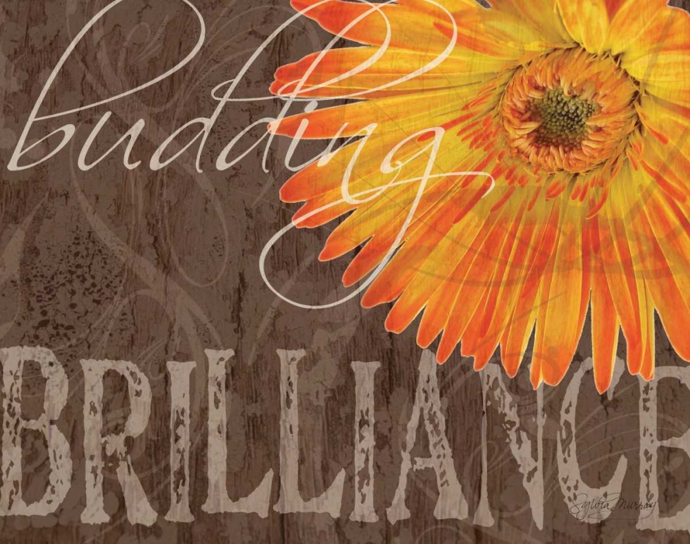 Art Print: Gerbera II