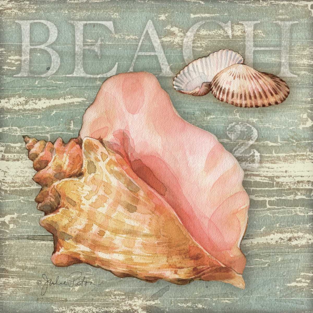 Wall Art Painting id:63727, Name: Beach Shells Conch, Artist: Paton, Julie