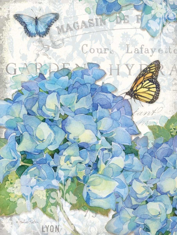 Wall Art Painting id:145090, Name: Garden Hydrangea I, Artist: Paton, Julie