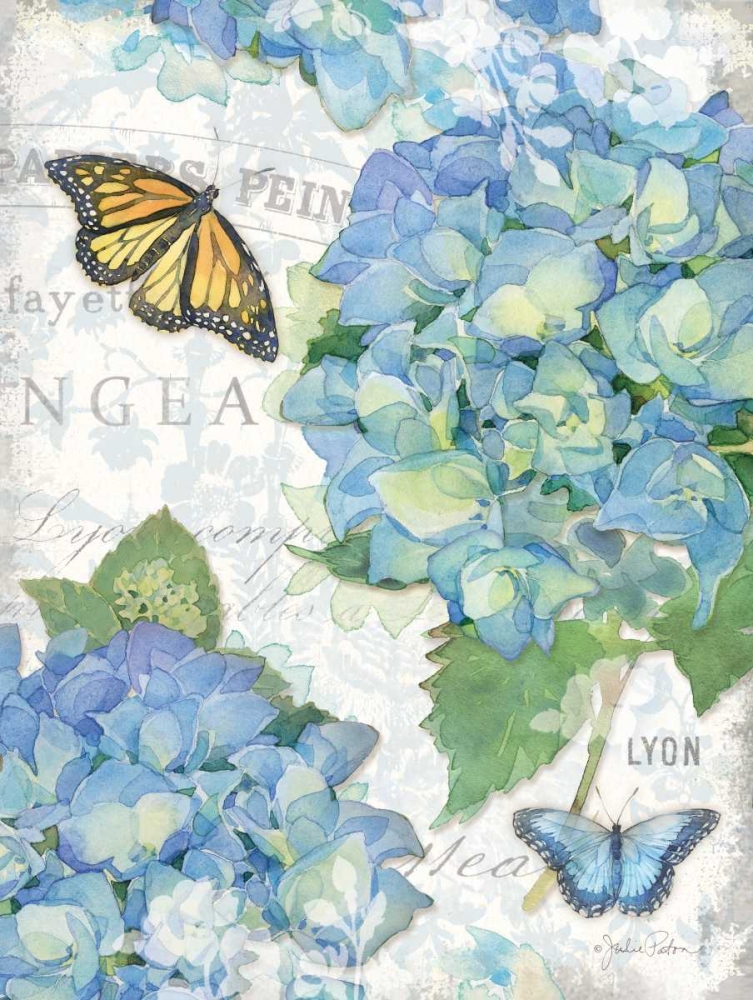 Wall Art Painting id:145091, Name: Garden Hydrangea II, Artist: Paton, Julie