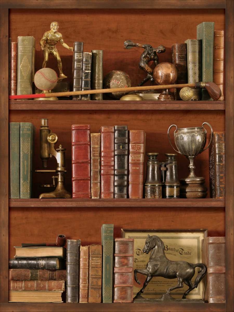 Art Print: Librairie IV