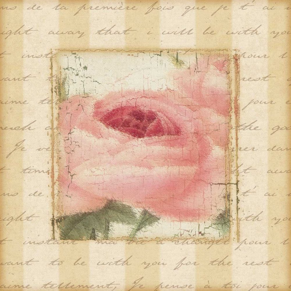 Art Print: Rose and Romance I