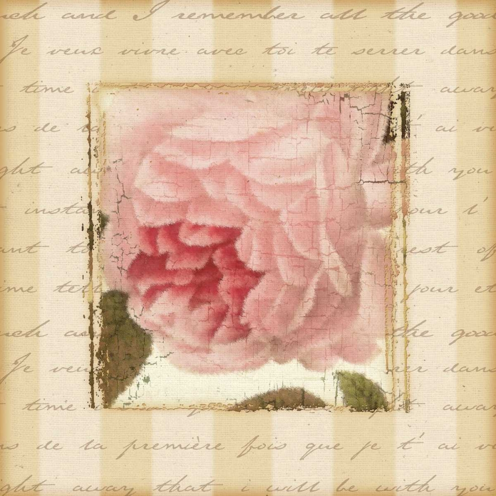 Art Print: Rose and Romance II