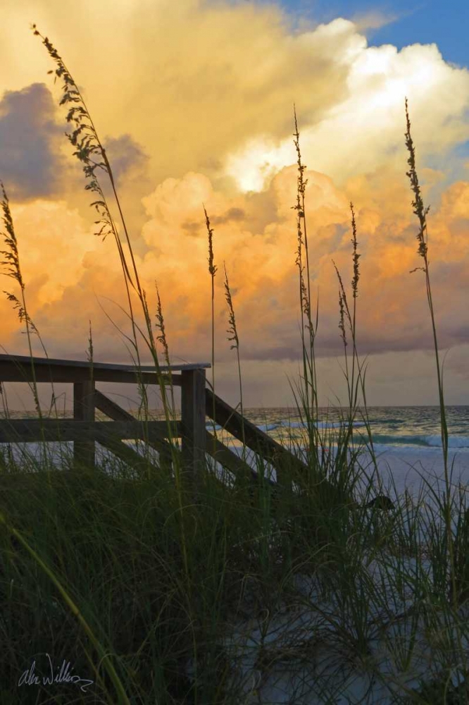 Wall art: Majestic Coast I, by Williams, Alex