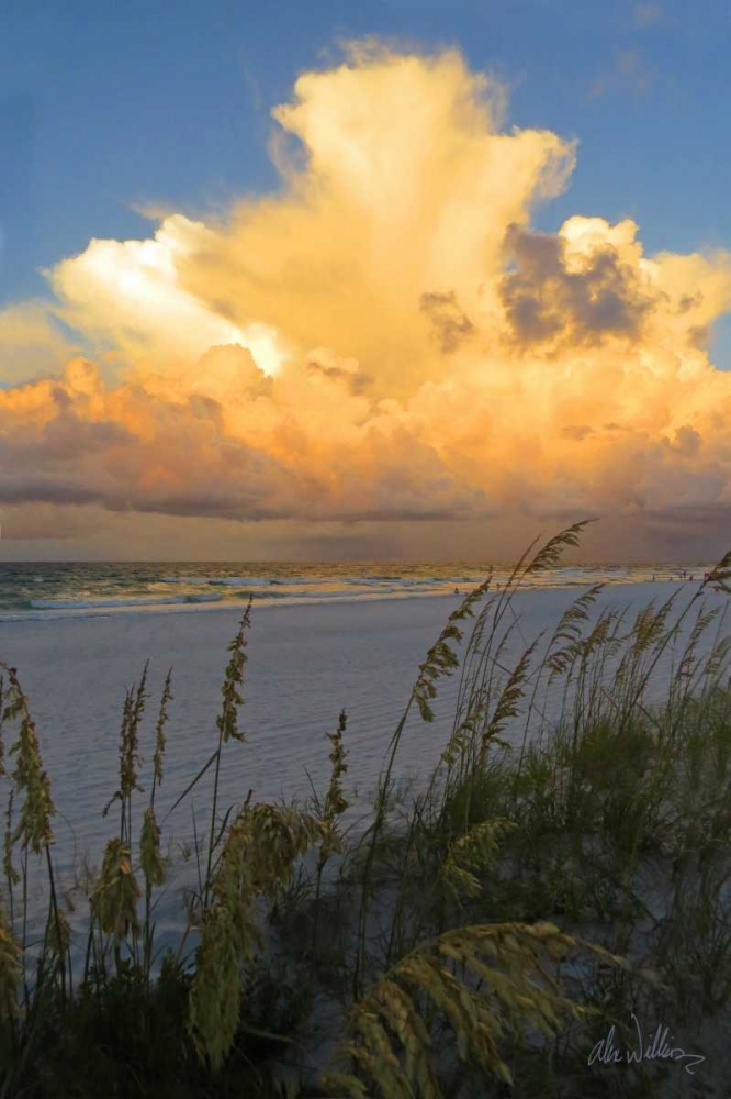 Wall art: Majestic Coast II, by Williams, Alex