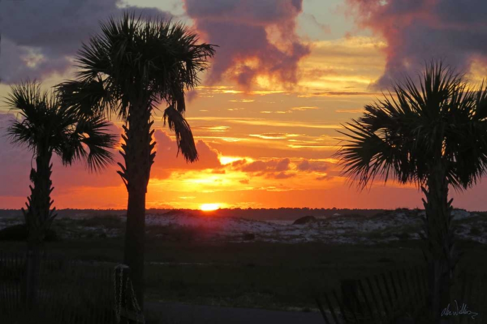Art Print: Sunset Palms I