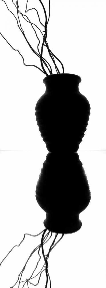 Art Print: Still Life Reflections II