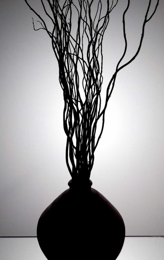 Art Print: Still Life Silhouette I