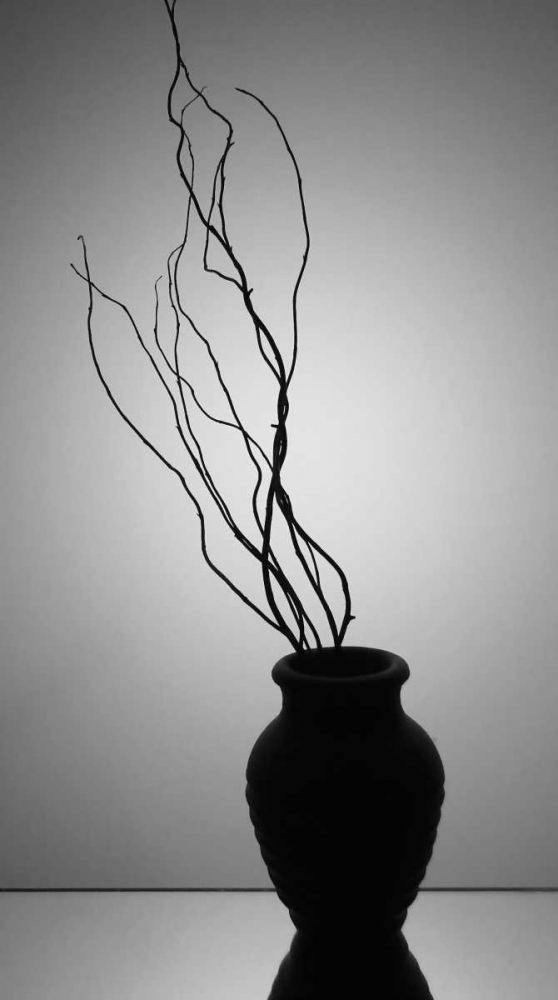 Art Print: Still Life Silhouette II