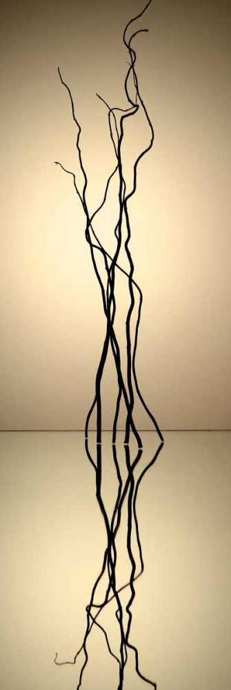 Art Print: Still Life Reflections IV