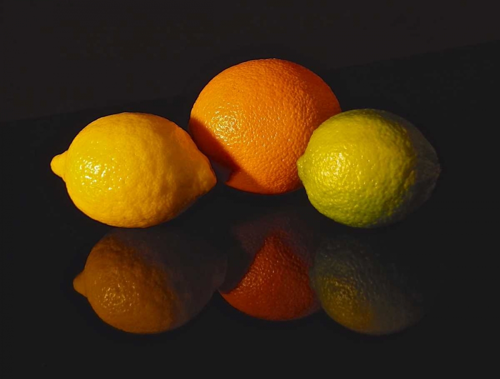Art Print: Citrus Reflections