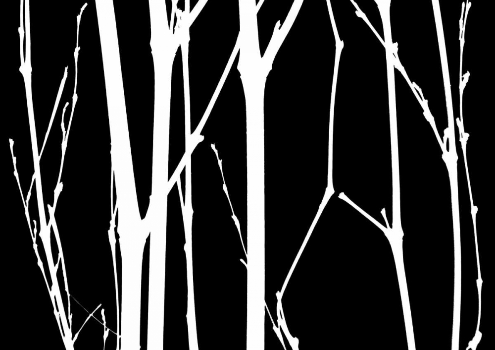 Art Print: Reverse Silhouette I