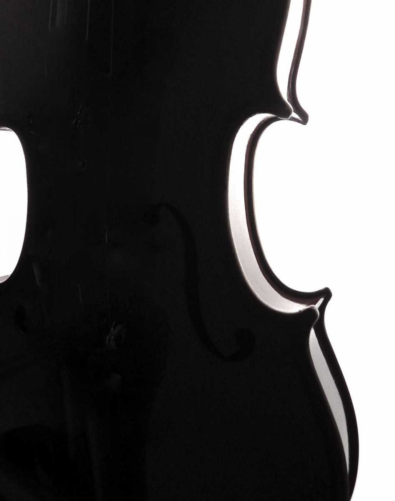 Wall art: Violin Curves, by Burkhart, Monika