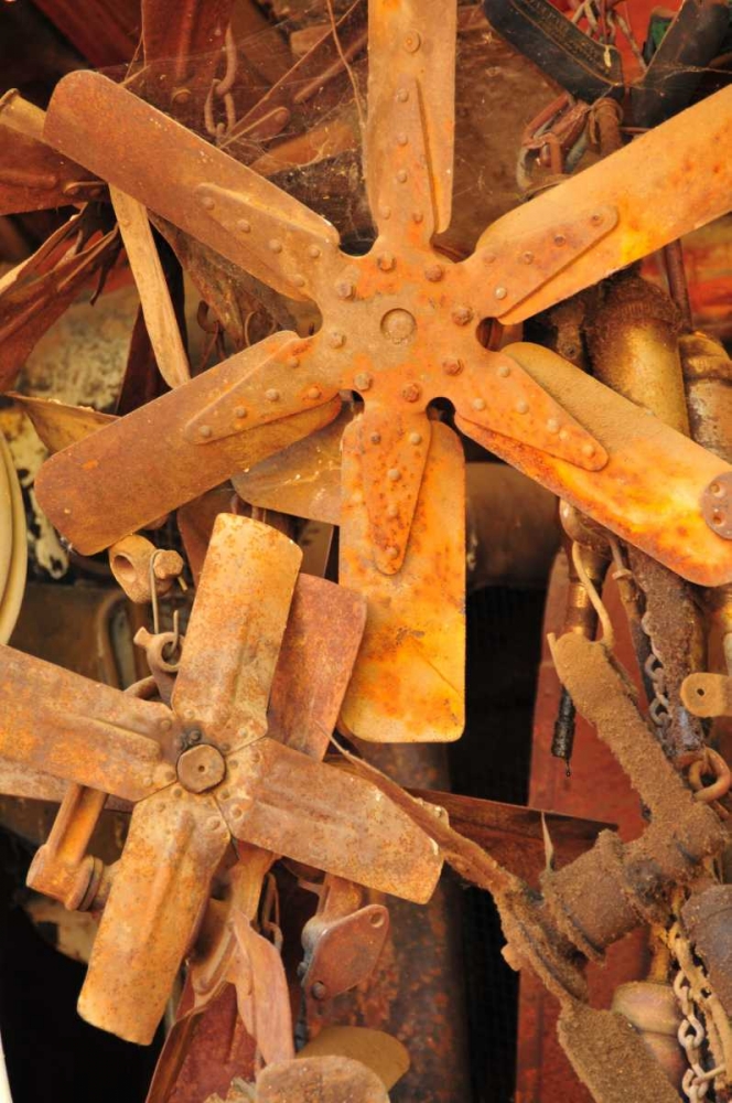 Wall Art Painting id:4, Name: New Era VI, Artist: Berzel, Erin