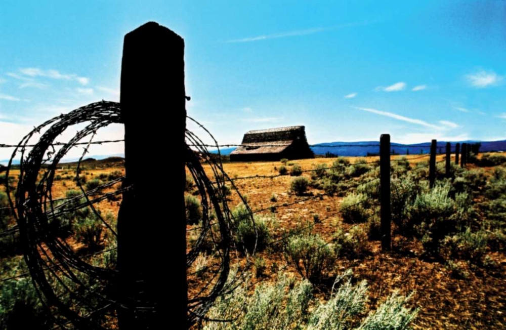 Wall Art Painting id:9, Name: Mountain Summer II, Artist: Berzel, Erin