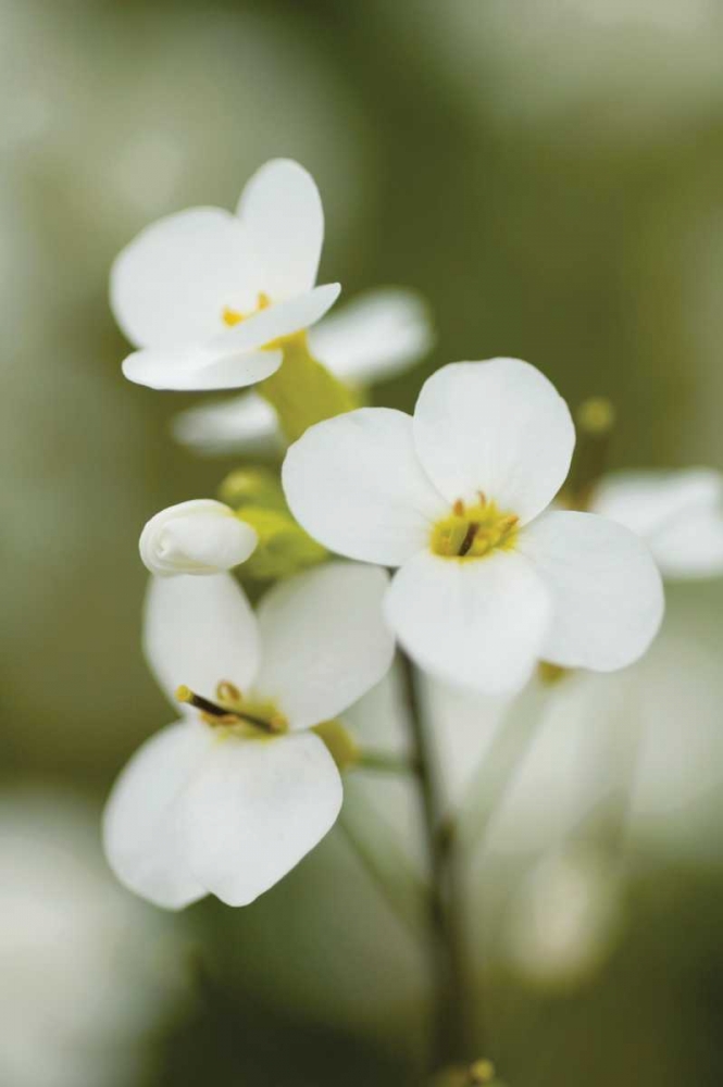 Similar wall art painting: 17