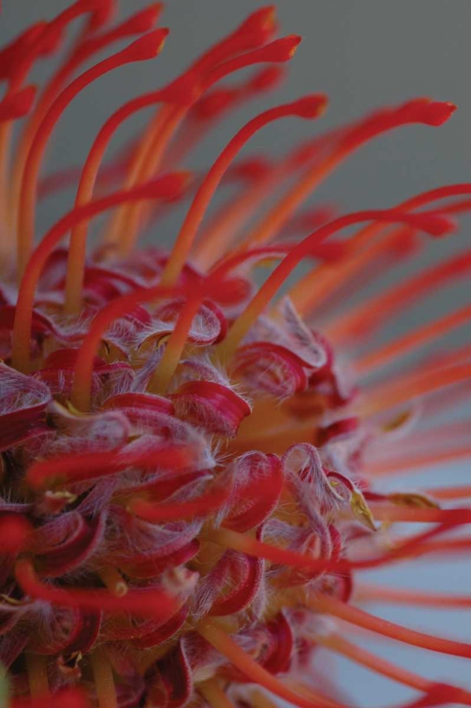 Similar wall art painting: 19