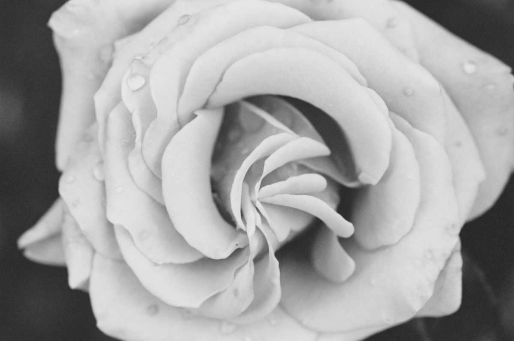 Similar wall art painting: 24