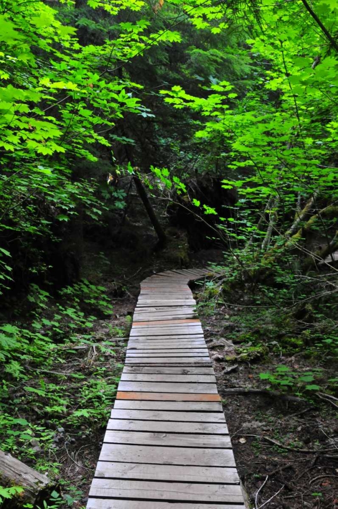 Wall Art Painting id:62, Name: Afternoon Hike I, Artist: Berzel, Erin
