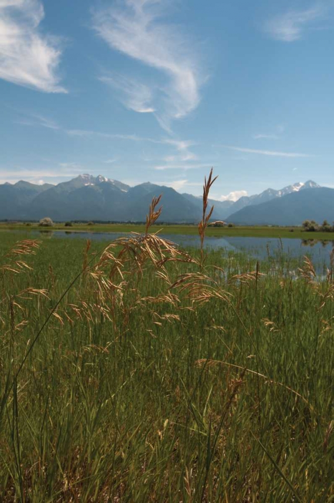 Wall Art Painting id:118, Name: Mission Mountain Range, Artist: Berzel, Erin