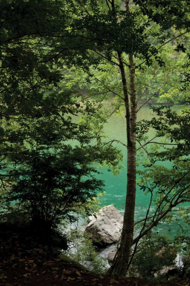 Art Print: Secret Swimming Hole