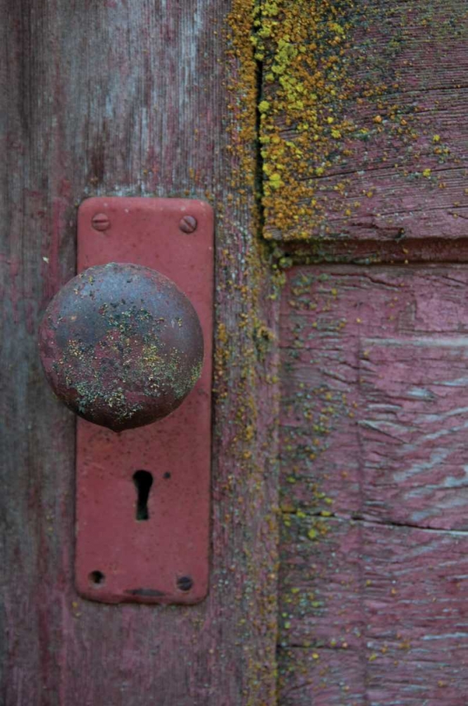 Art Print: Barn Door