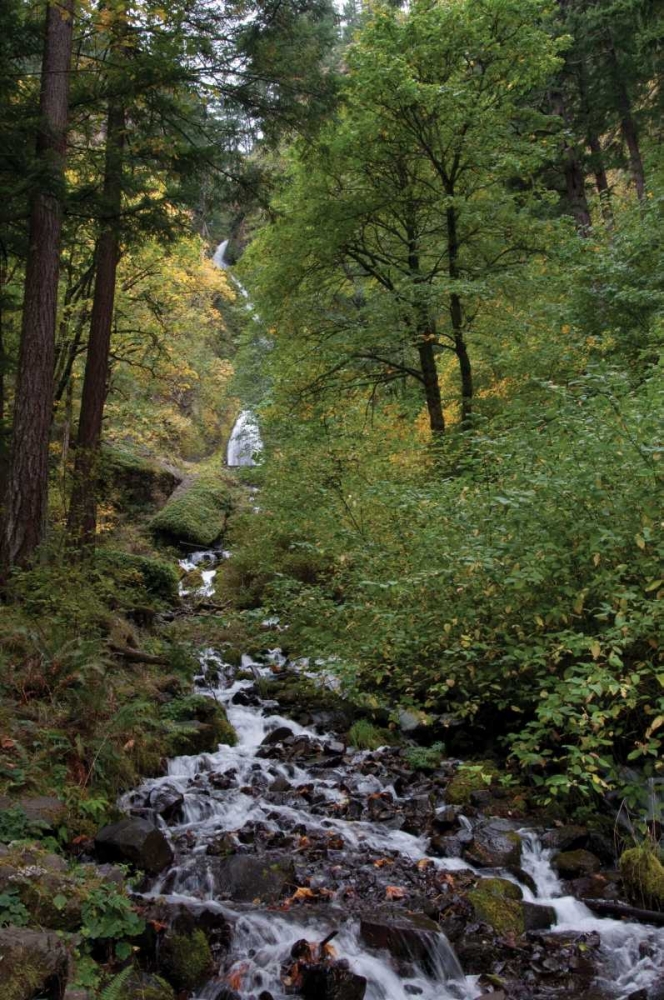 Wall Art Painting id:173, Name: Wahkeena Falls III, Artist: Berzel, Erin