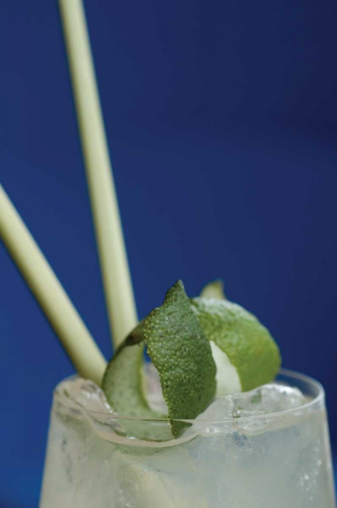 Wall art: Cocktail Hour I, by Berzel, Erin