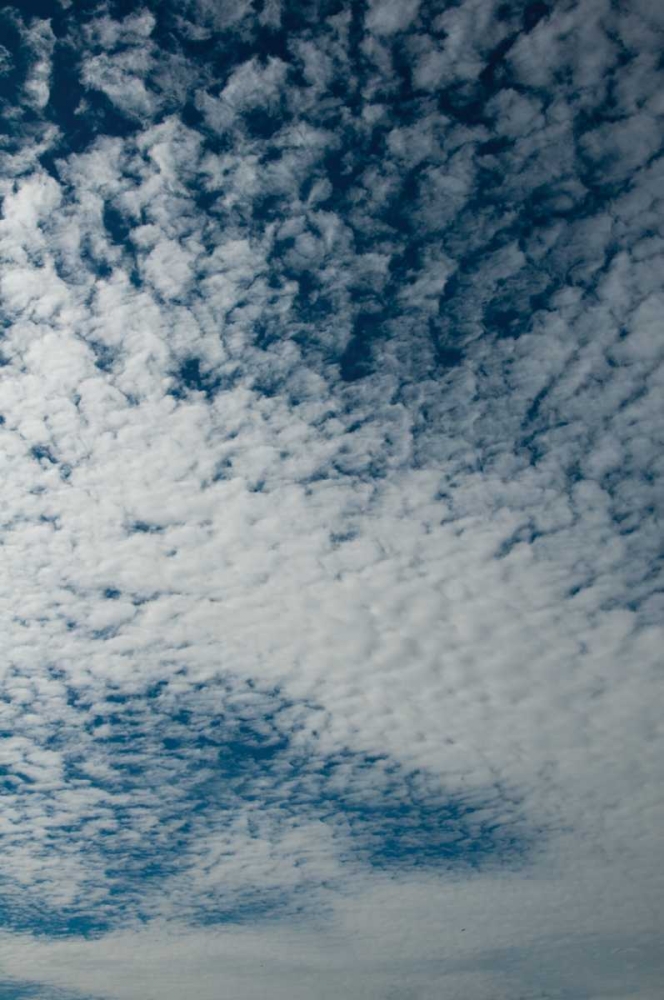 Art Print: In the Clouds I