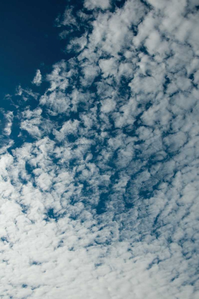 Art Print: In the Clouds II