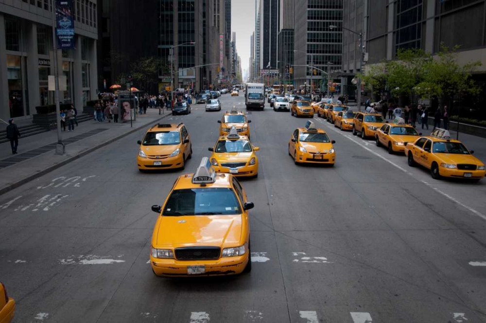 Wall Art Painting id:1175, Name: NYC Taxi Cabs, Artist: Berzel, Erin